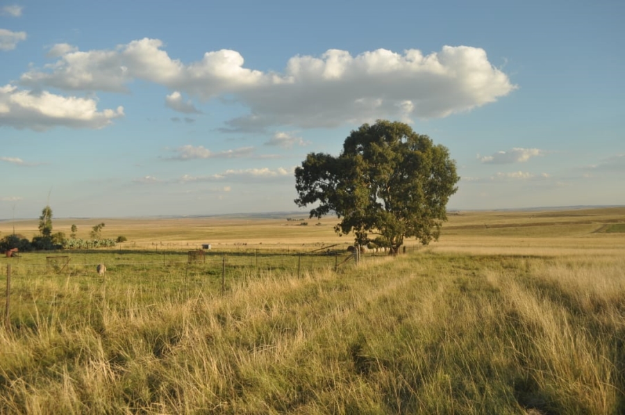 5 Bedroom Property for Sale in Reitz Rural Free State